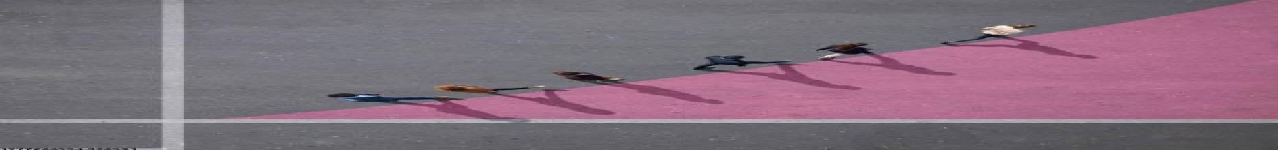 神彩v8塑胶跑道升级改造服务